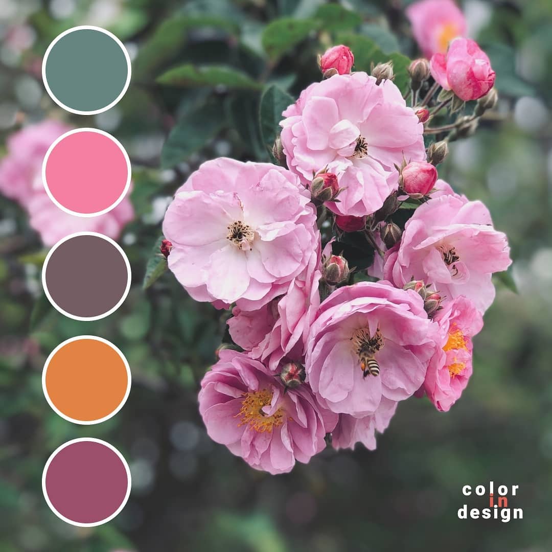 Сочетание цветов мятно-бирюзовый, розовый, оранжевый цвета