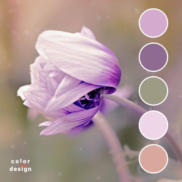 С какими цветами сочетается фиолетовый: 75 идей